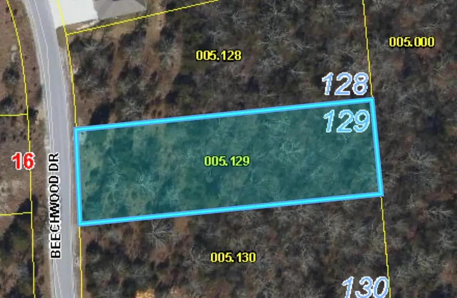 295 Beechwood Drive, Branson West, MO 65737 - #2