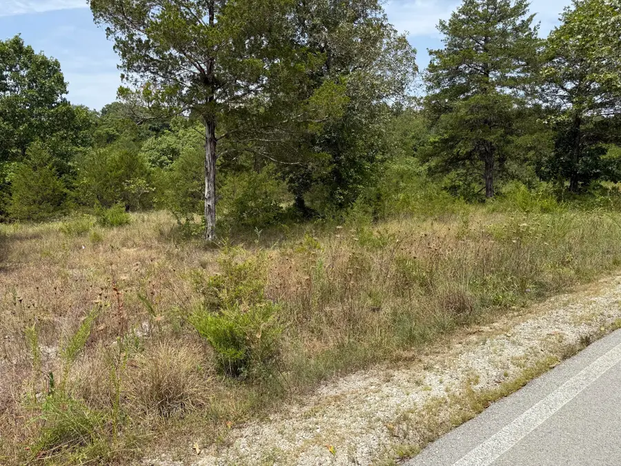 272 Beechwood Drive, Branson West, MO 65737 - #3