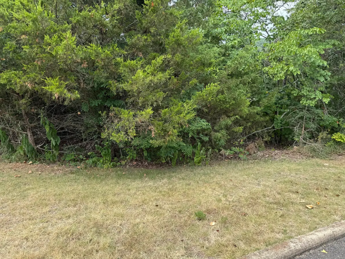5 Silver Oak Way, Branson West, MO 65737 - #1