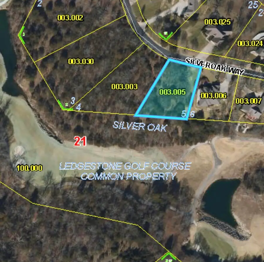 5 Silver Oak Way, Branson West, MO 65737 - #3