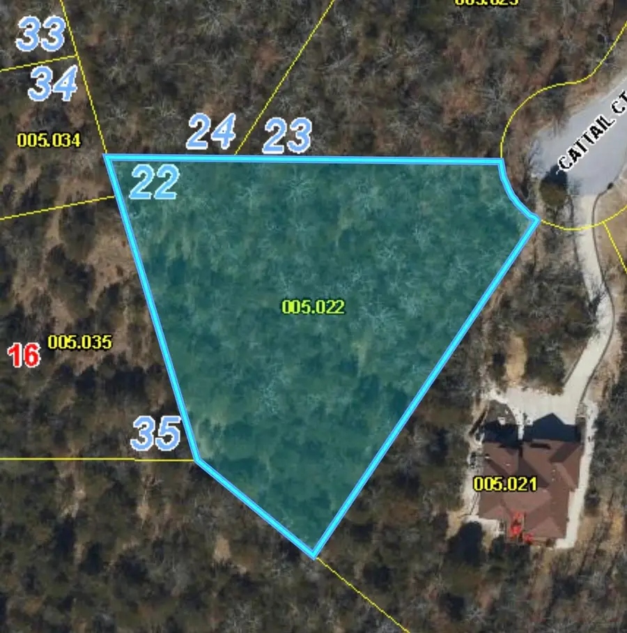 55 Cattail Court, Branson West, MO 65737 - #2