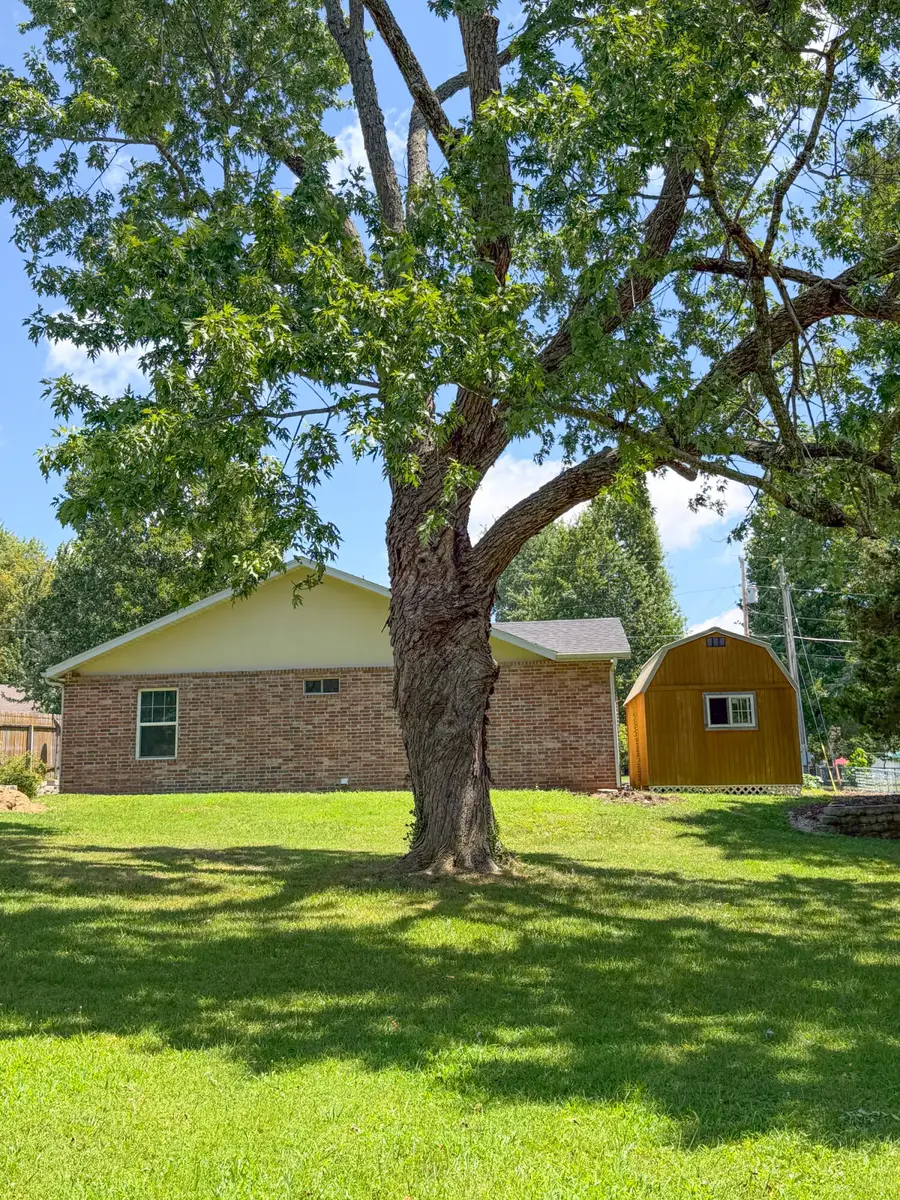 1107 Julia Street, Mountain Grove, MO 65711 - #2