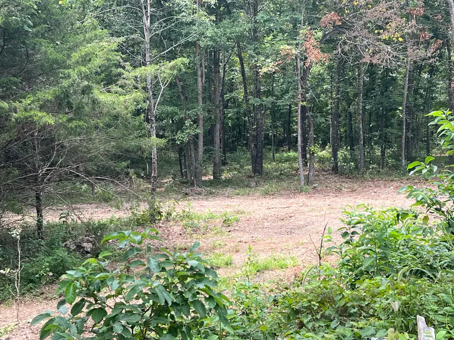 528 Black Oak Road, Mammoth Spring, AR 72554 - #2