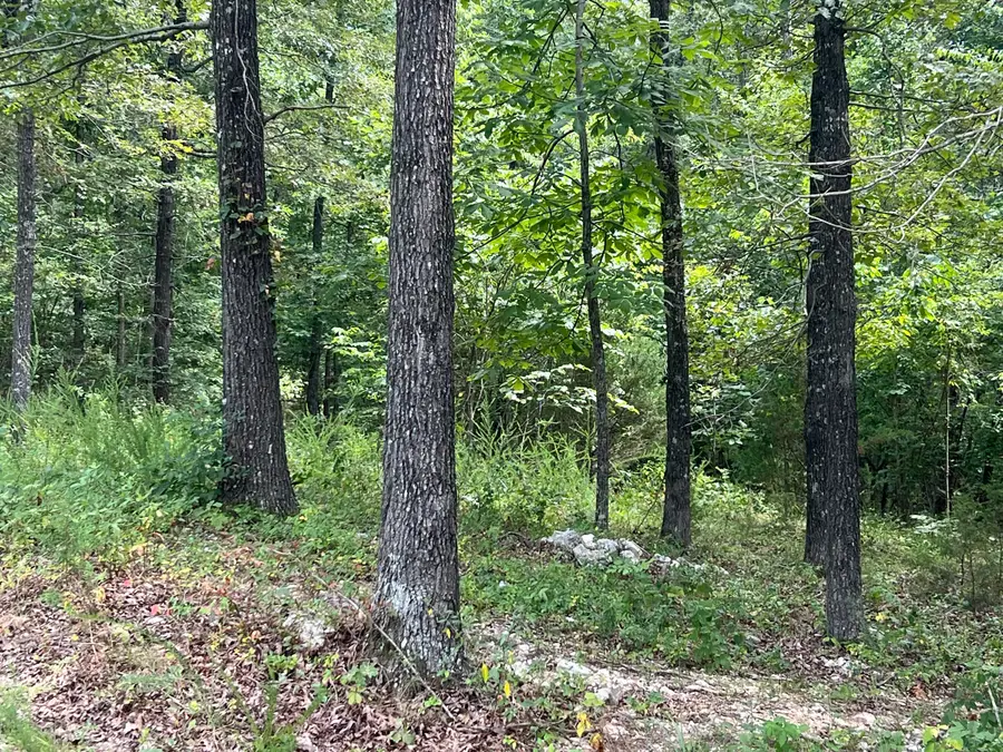 528 Black Oak Road, Mammoth Spring, AR 72554 - #3