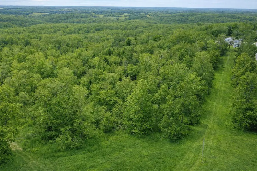 000 A Highway, Thayer, MO 65791 - #2