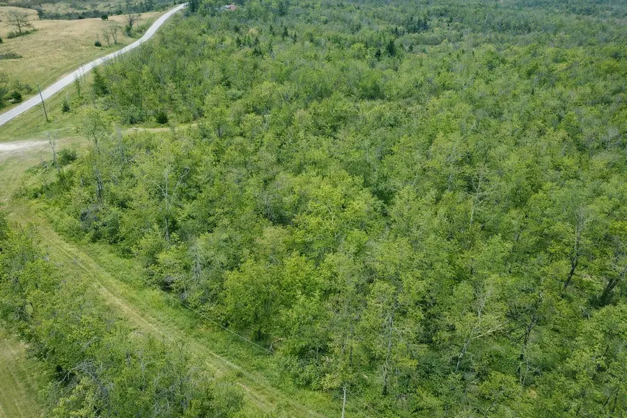 000 A Highway, Thayer, MO 65791 - #3