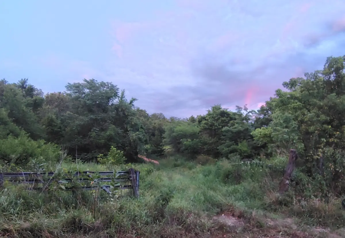 000 County Road 150, Preston, MO 65732 - #1