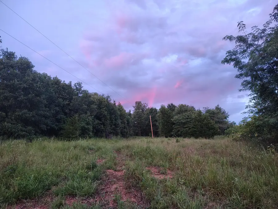 000 County Road 150, Preston, MO 65732 - #2