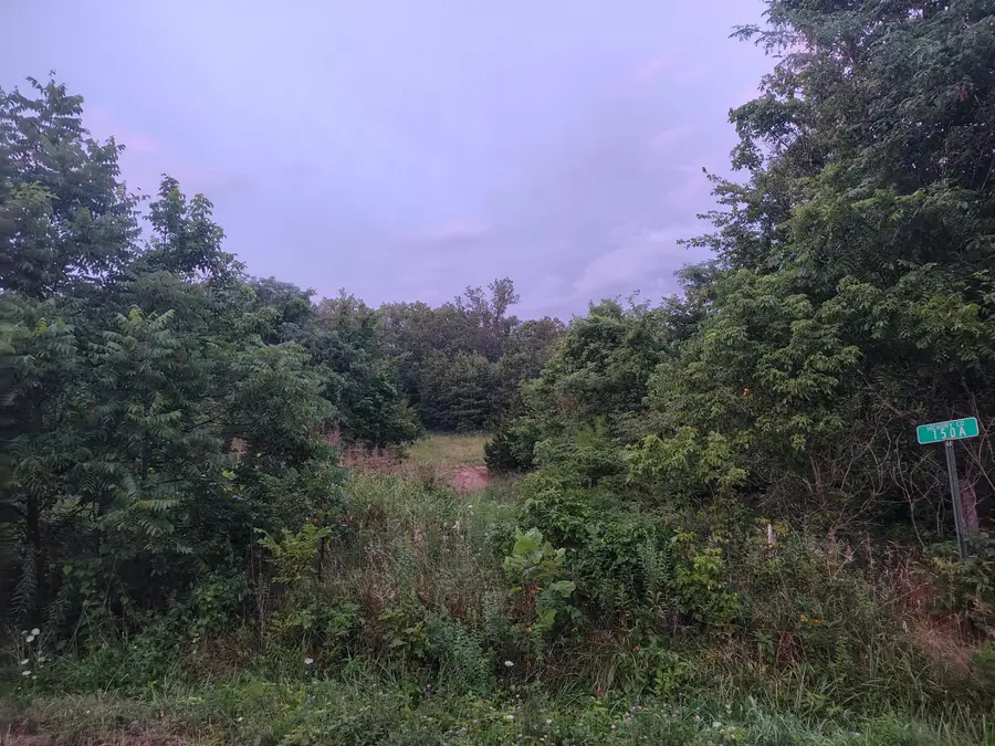 000 County Road 150, Preston, MO 65732 - #3