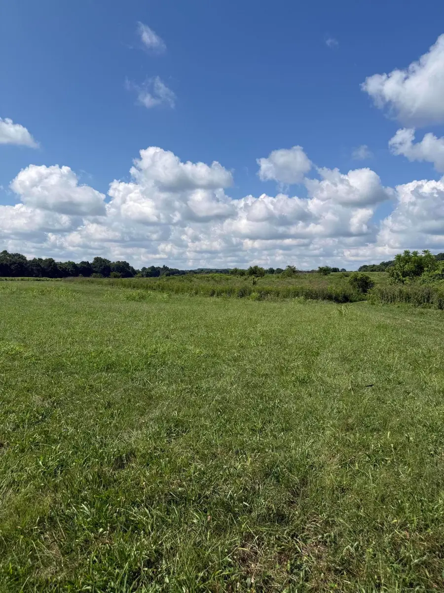 000 Highway 63, Houston, MO 65483 - #3