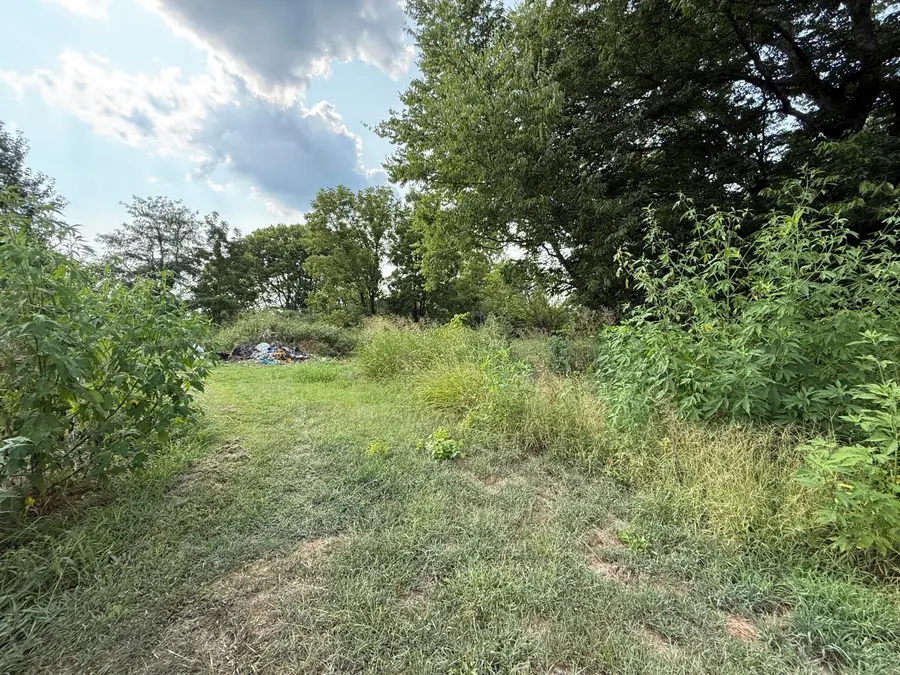 925 County Road 6140, Dora, MO 65637 - #3