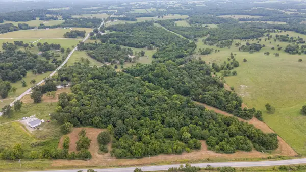 Tract 2 N Farm Road 53, Walnut Grove, MO 65770