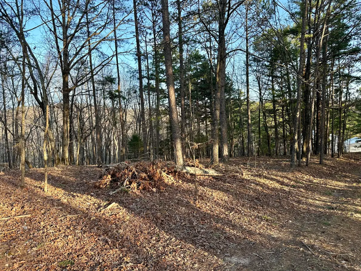 000 Brown Road Lot, Van Buren, MO 63965 - #1