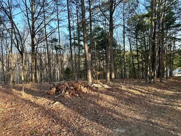 000 Brown Road Lot, Van Buren, MO 63965