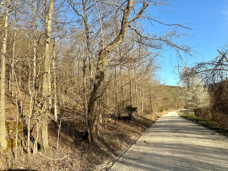 000 Brown Road Lot, Van Buren, MO 63965 - #3