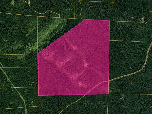 632 Private Road 421-35, West Plains, MO 65775