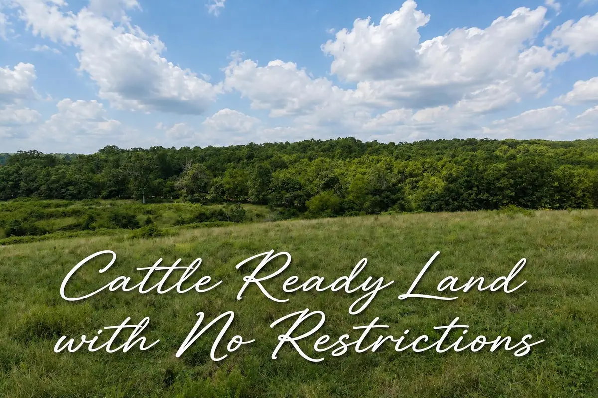 Tbd State Highway E, Hartville, MO 65667 - #1