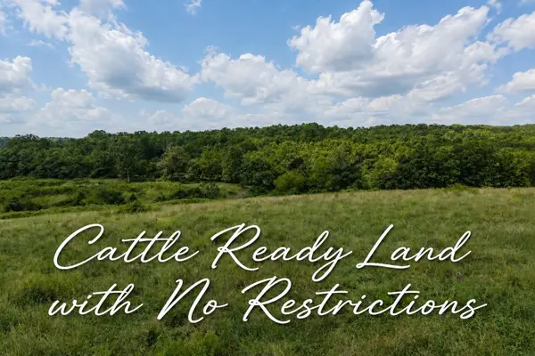Tbd State Highway E, Hartville, MO 65667
