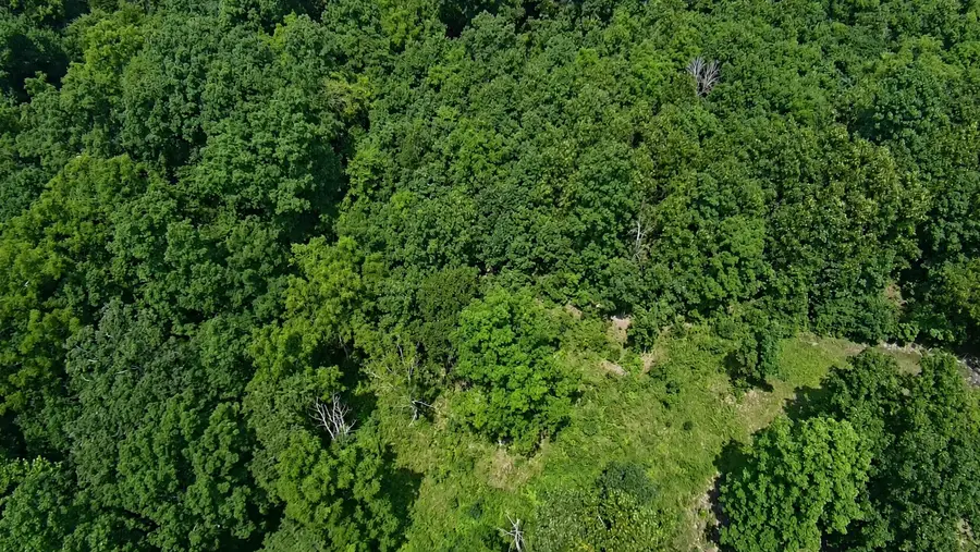 13543 N State Highway 5, Ava, MO 65608 - #2