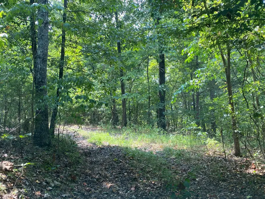 6775 State Highway 173, Cape Fair, MO 65624 - #3