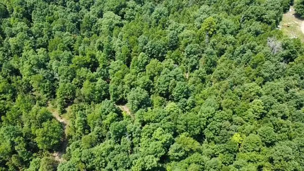 000 County Road 434, Birch Tree, MO 65438