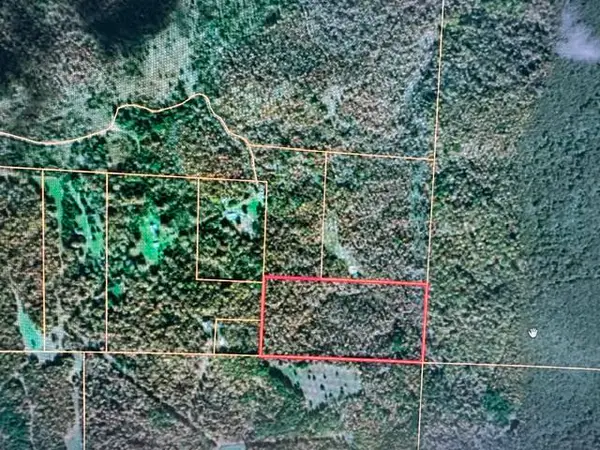 000 County Road 434, Birch Tree, MO 65438