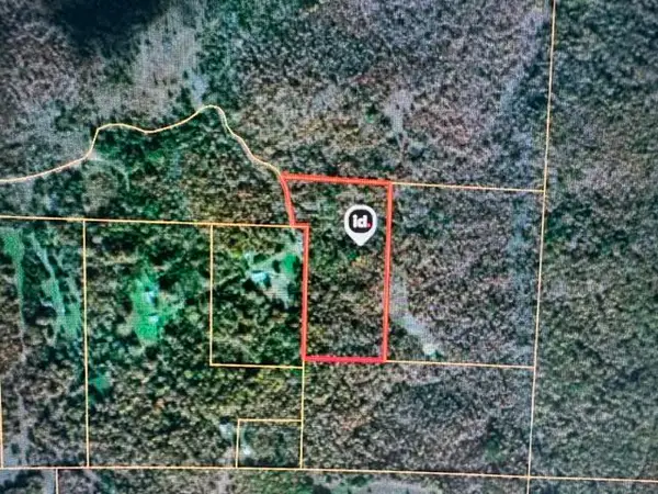 000 County Road 434, Birch Tree, MO 65438