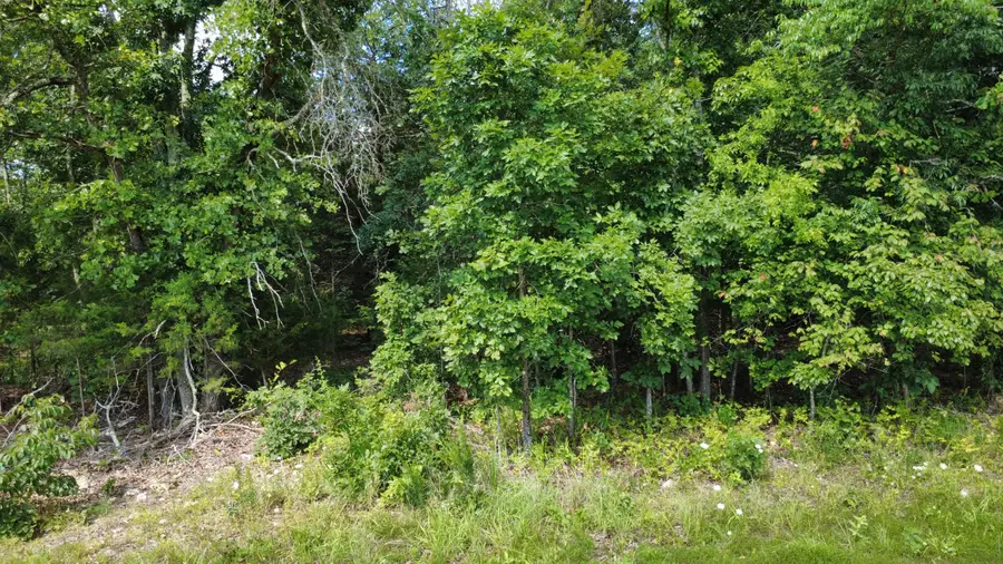 000 Private Road 421-35, West Plains, MO 65775 - #2