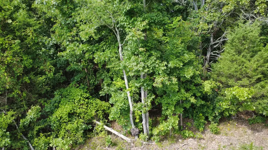 000 Private Road 421-35, West Plains, MO 65775 - #3