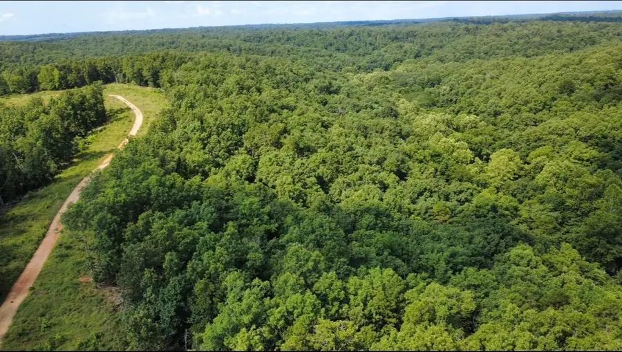 632 Private Road 421-35, West Plains, MO 65775 - #2