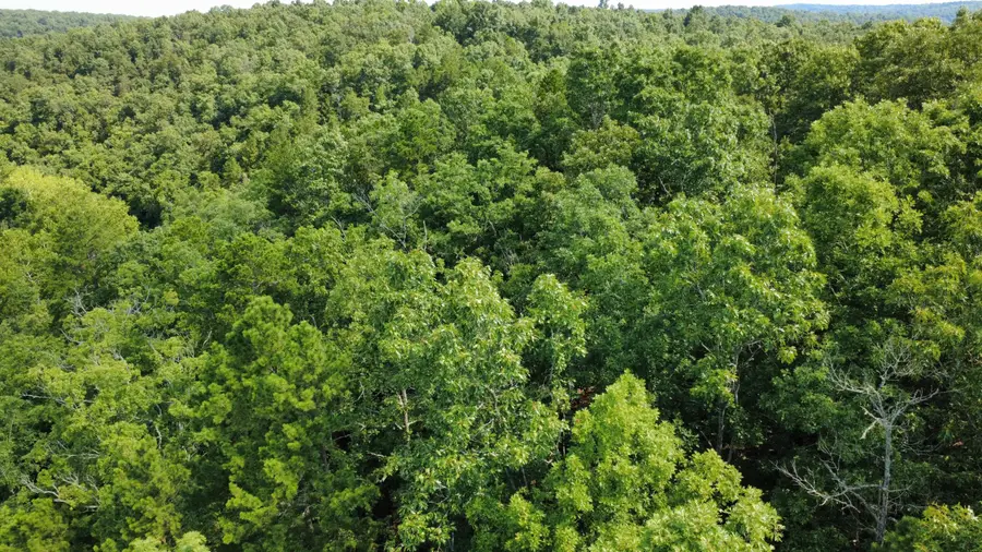 000 Private Road 421-35, West Plains, MO 65775 - #3