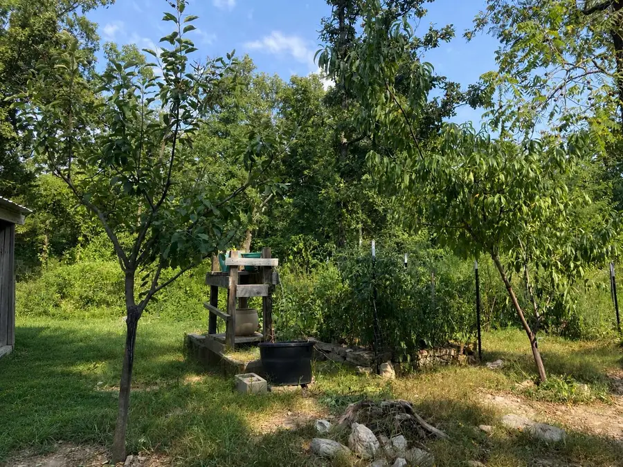17530 Highway Y #Lot M, Elk Creek, MO 65464 - #2