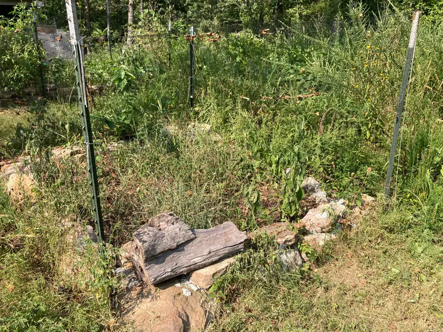 17530 Highway Y #Lot M, Elk Creek, MO 65464 - #3