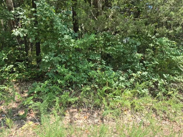 Lots 5 & 6 East Gate Road, Merriam Woods, MO 65740