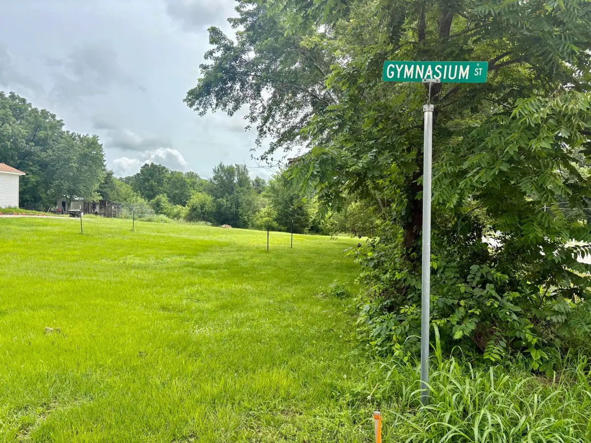 108 Gymnasium Street, Everton, MO 65646 - #1
