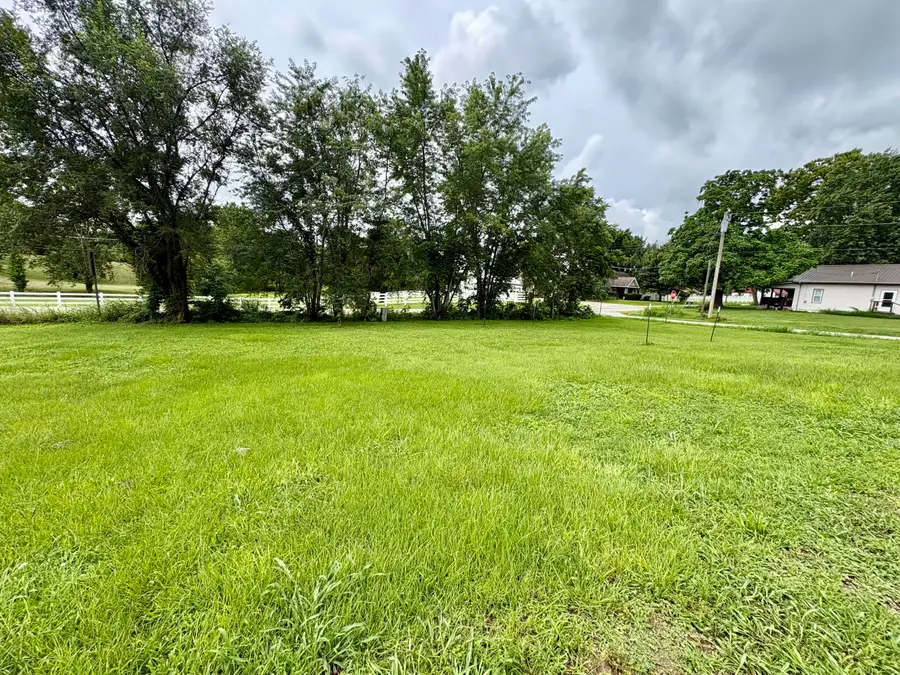 108 Gymnasium Street, Everton, MO 65646 - #3
