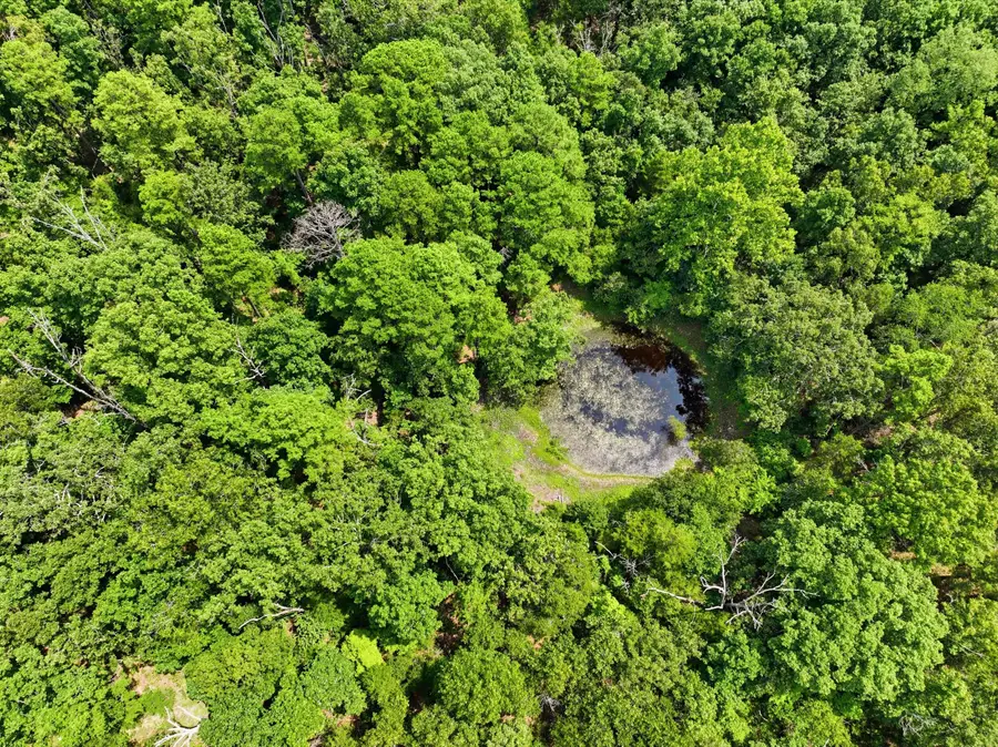 000 State Route 181, Cabool, MO 65689 - #3