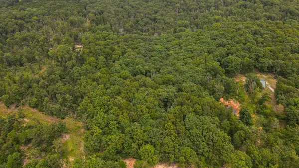 000 Sappington Lane, Falcon, MO 65470