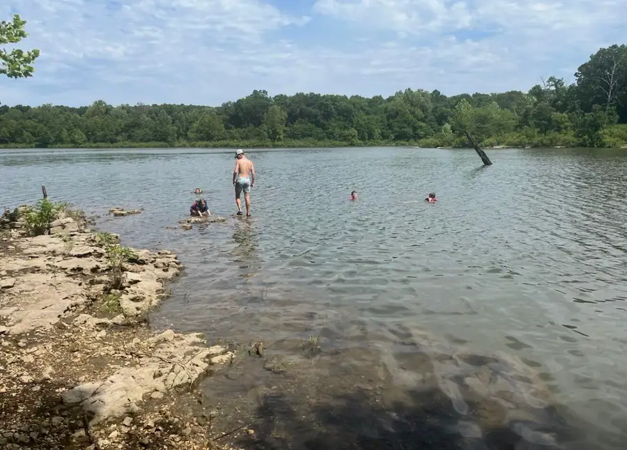 517 County Road 171, Greenfield, MO 65661 - #3