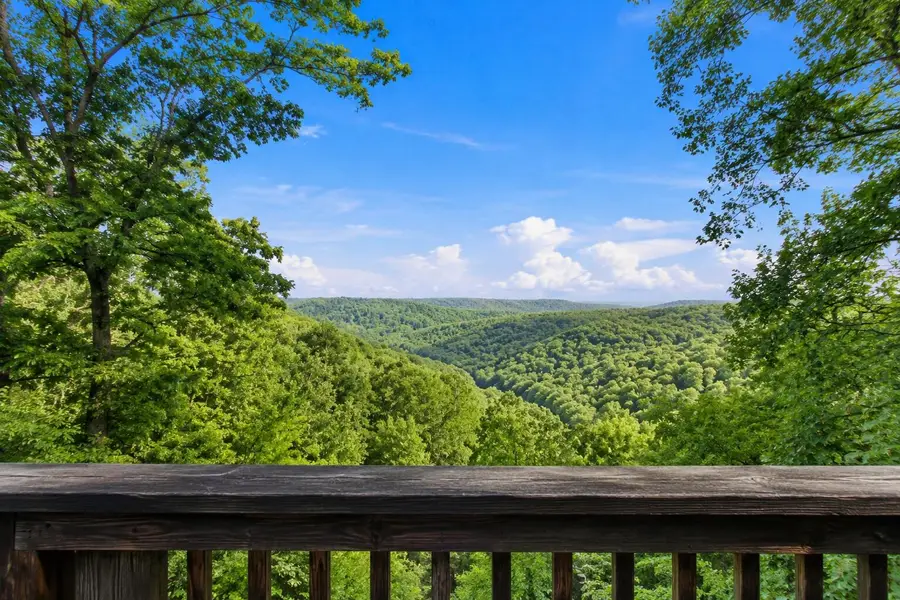 24709 Wolfe Road, Washburn, MO 65772 - #2