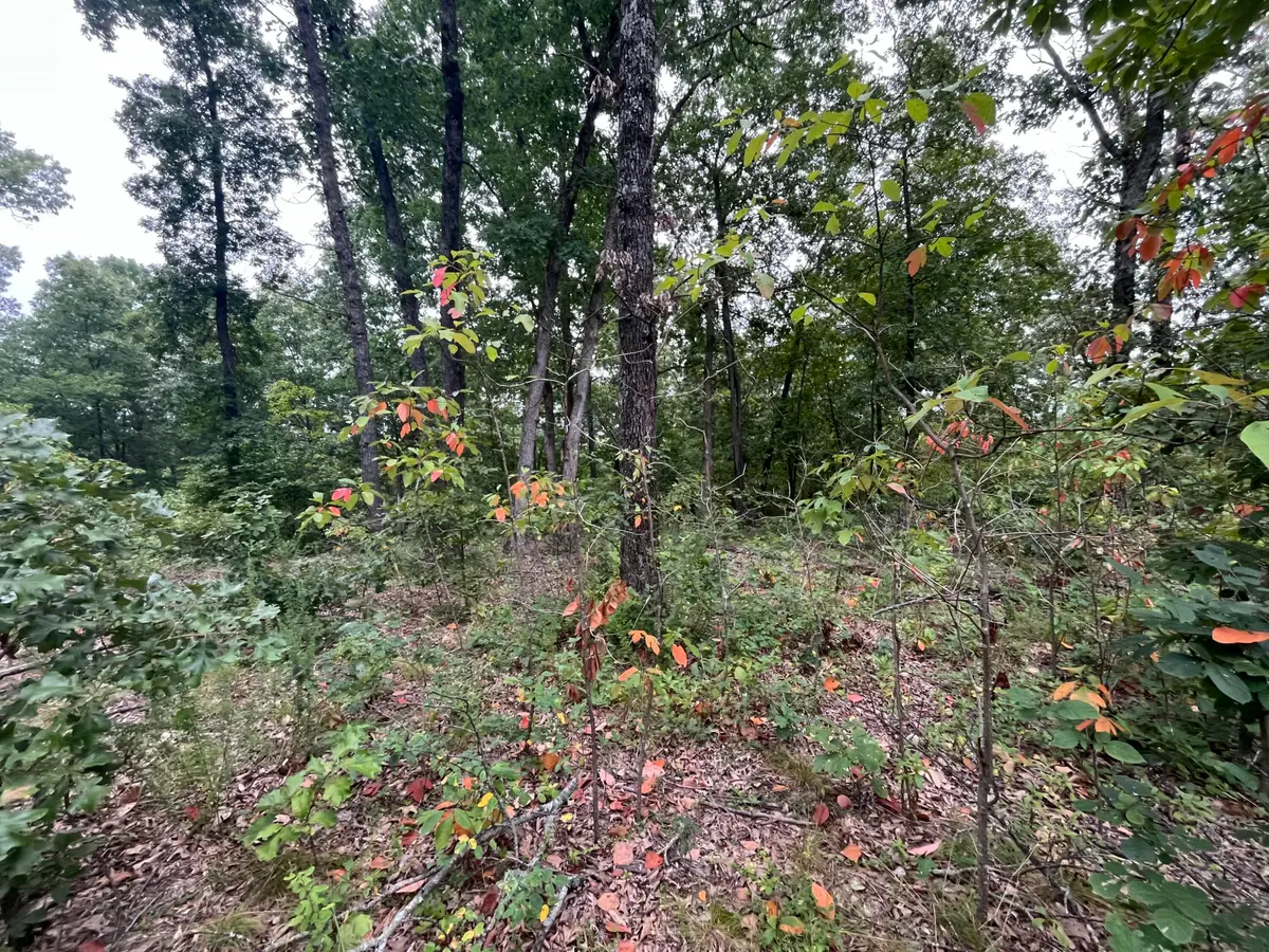 000 Partridge Drive, Climax Springs, MO 65324 - #1