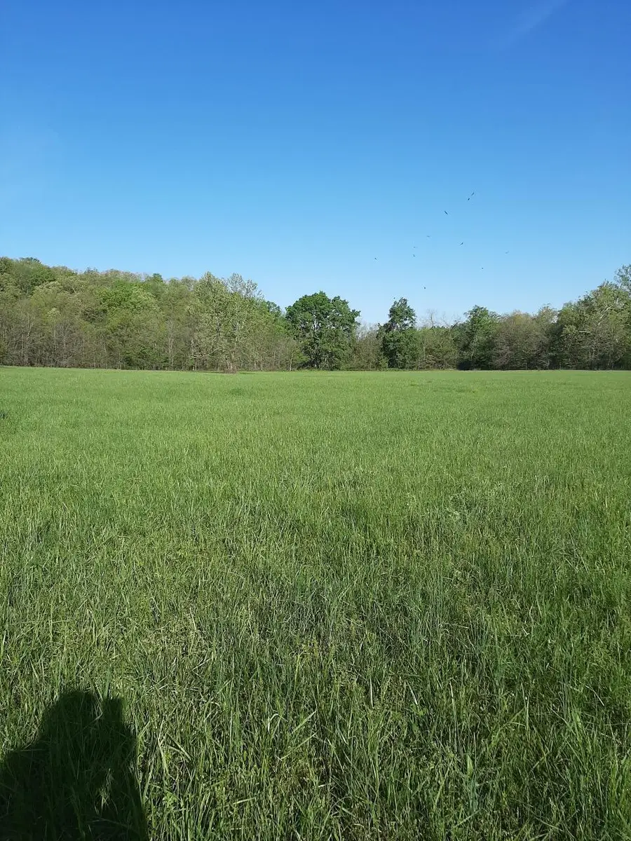 1535 W Elderberry Lane, Brighton, MO 65617 - #3