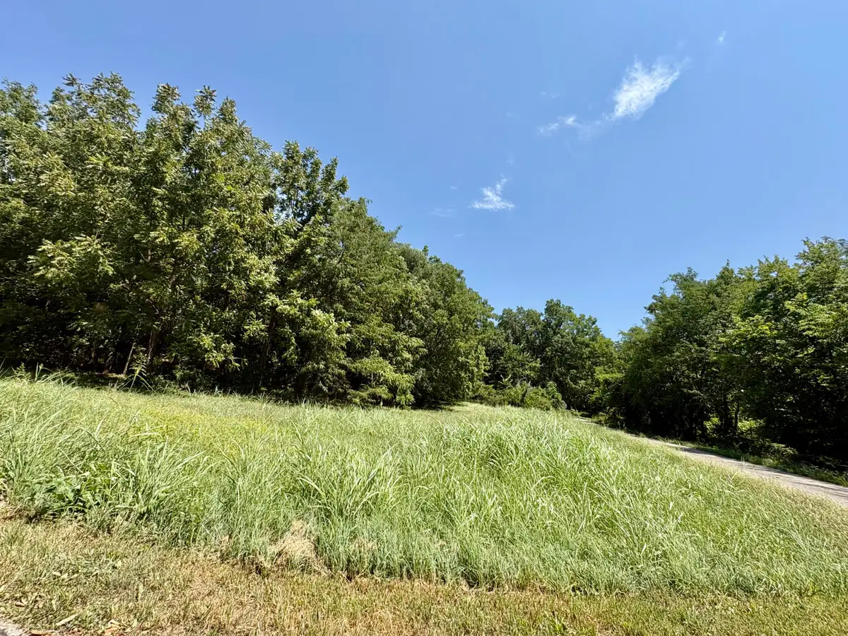 665 Meng Street, Greenfield, MO 65661 - #1