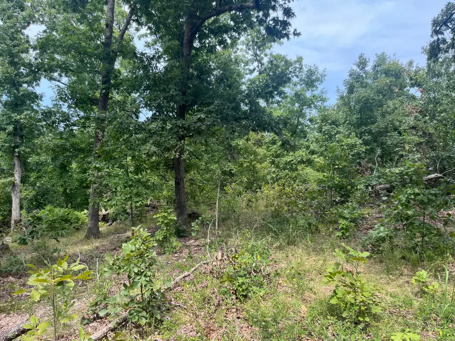 1 Partridge Drive, Climax Springs, MO 65324 - #2