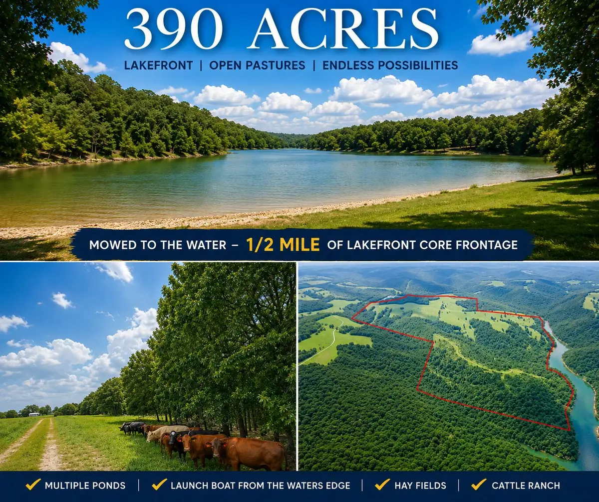 Tbd Dewdrop Road, Blue Eye, MO 65611 - #1