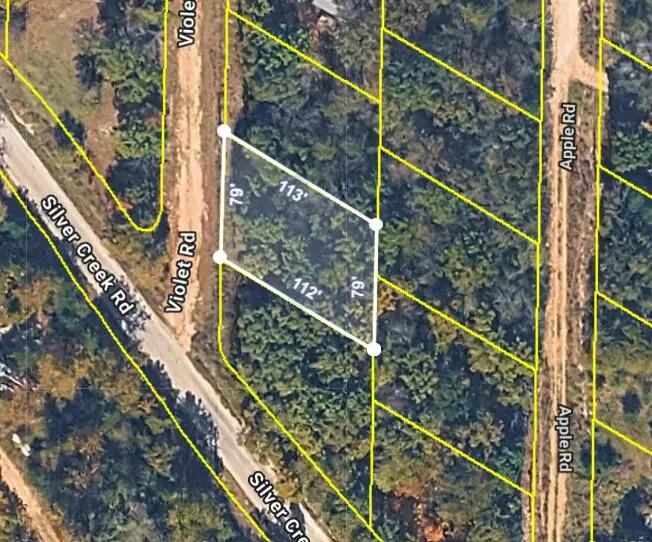 000 Violet Road, Merriam Woods, MO 65740 - #1