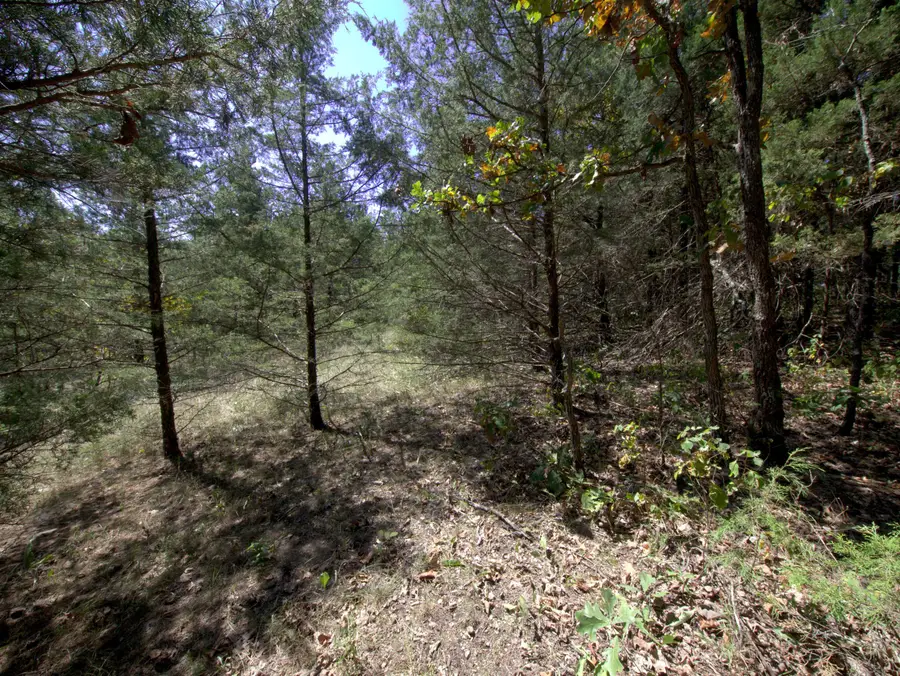 Tract 2 Simpson Rd, Urbana, MO 65767 - #3