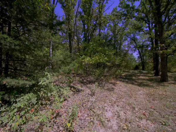 Tract 3 Simpson Rd, Urbana, MO 65767