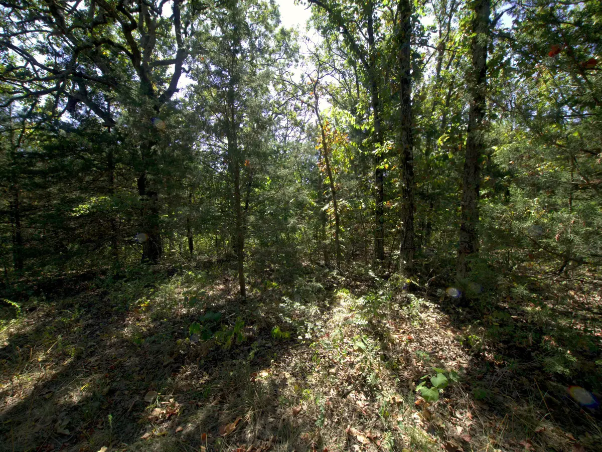 Tract 1&2 Simpson Rd, Urbana, MO 65767 - #1