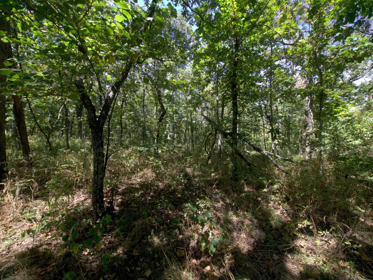 Tract 3&4 Simpson Rd, Urbana, MO 65767 - #1